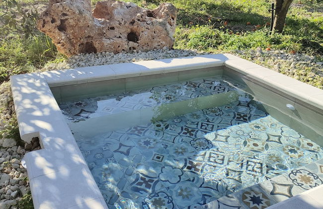 AgriBarocco - Photo 30