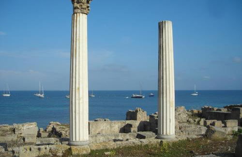 Il Nespolo - Foto 48