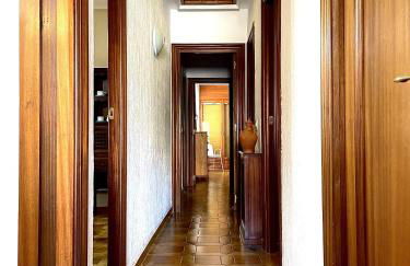 Home Campoamor - Foto 16