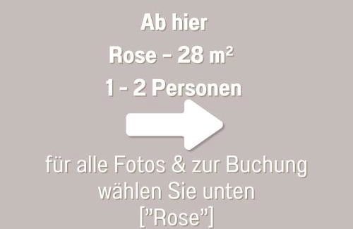 Coeurvert Calme en clairière - Ruhe in der Waldlichtung - Forest clearing stillness - Foto 25