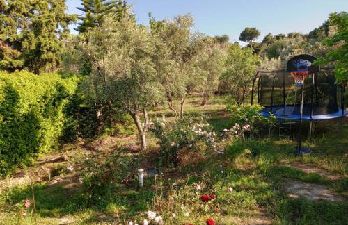 Green House Marathon - Greece - Foto 13