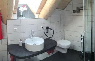 Naturstammhaus und Appartements Zum Brockenbaecker - Foto 53