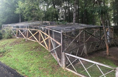 Airstream at a Petting Zoo w/ Hot Tub - Foto 39