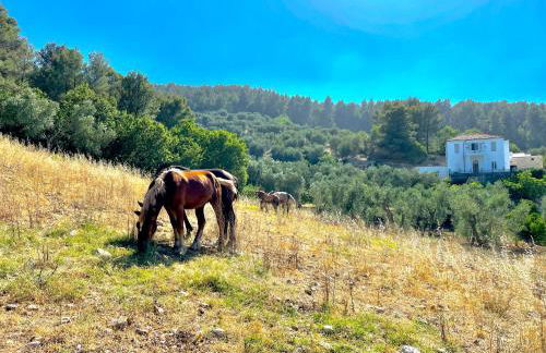 Novecento Country House - Foto 26