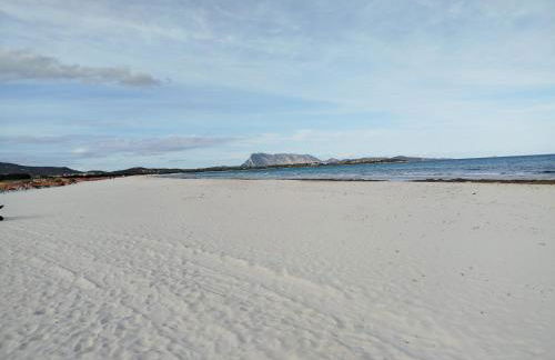 The Apricot House, alle porte di San Teodoro - Foto 1