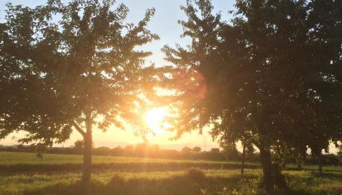 Alte Heimat - Foto 4