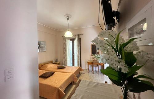 Nikos Holidays Apartment 1 - Photo 16