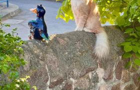 Landappartement Stritter - Photo 50