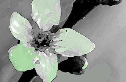 Villa Larzac - Foto 15