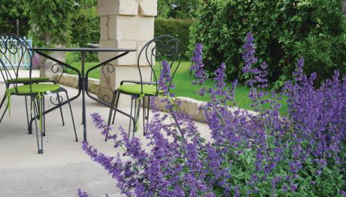 Lovely Home In St Fort Sur Gironde - Foto 5, Garden