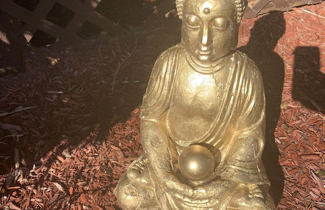 Log Cabin in the Field - Foto 35