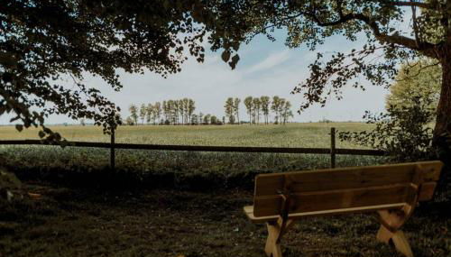 Landhaus Kurzenmoor Remise 100 qm - Foto 4