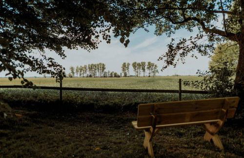 Landhaus Kurzenmoor Remise 100 qm - Photo 4