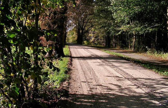 6 Person Holiday Home in Taastrup - Photo 13