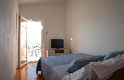 Lemon tree - Foto 24