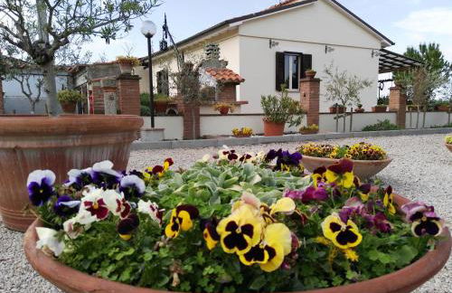 Residence Terra Dei Santi Country House - Foto 146