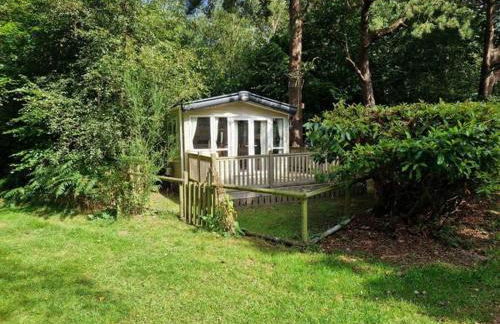 Fawn Lodge, Kelling Heath - Woodland Setting and Pets Welcome - Photo 1