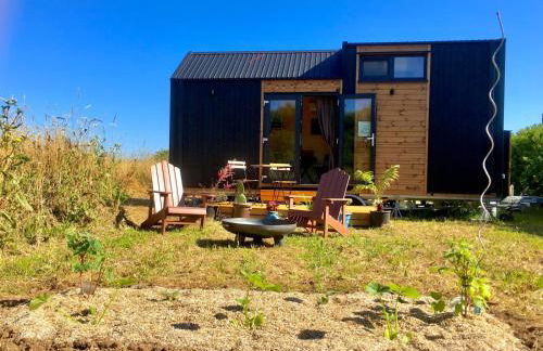 The Legendary Coast by Tiny Away - Foto 9