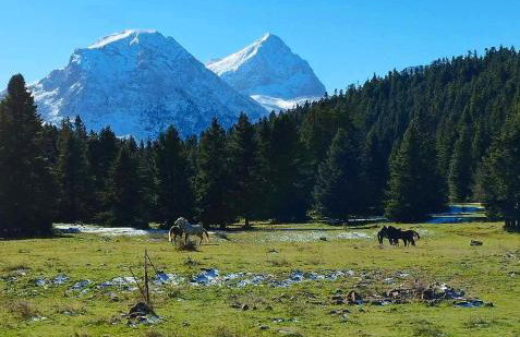 Villa Dremissa - Foto 54