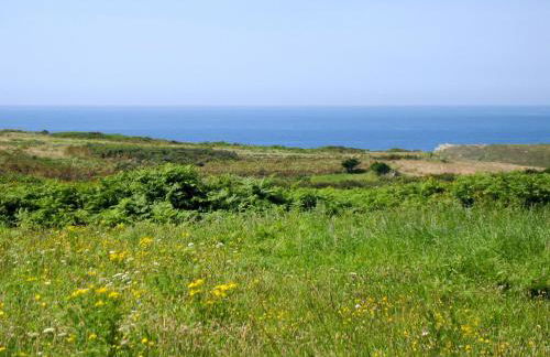 Holiday Home Les Hortensias by Interhome - Foto 65