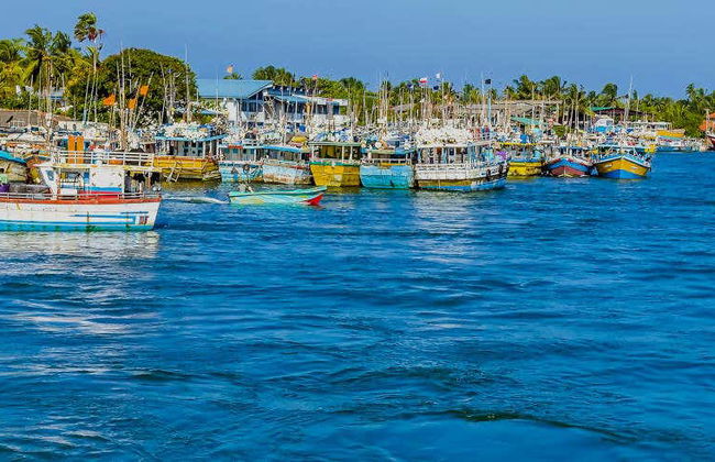 Tour de tuk tuk por Negombo + Passeio de barco - Foto 1