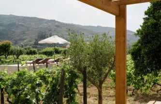 IMAGO Houses - Douro Valley - By MET - Foto 44