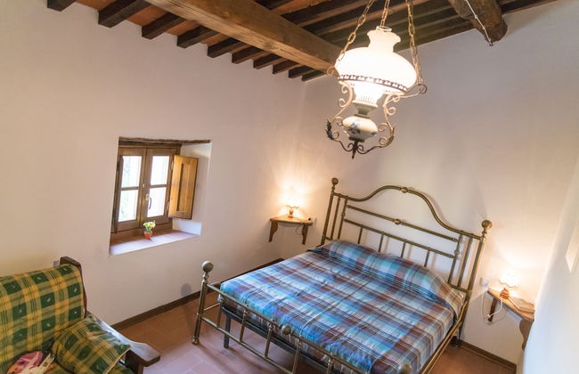 Fattoria di Cintoia - Photo 22