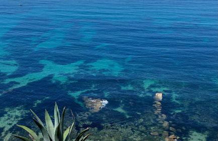 Sleep & Surf Ericeira - Portugal - Photo 76