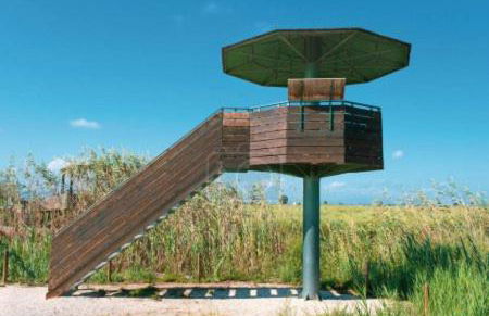 Deltafamily ¡ barbacoa,piscina, wifi Chromecast !! - Foto 33