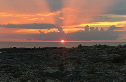 Villetta frontemare Torre Suda Salento - Foto 20