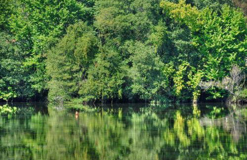 Quinta de Luou - Photo 47