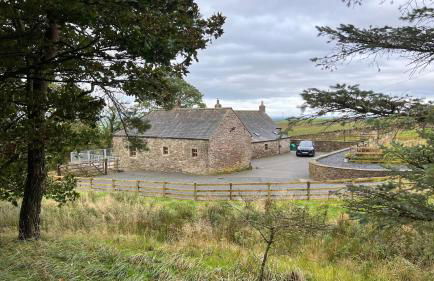 Torties Cottage - Foto 33