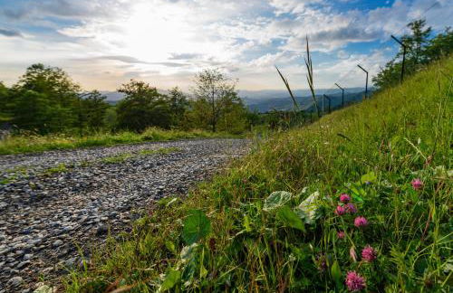 Agriturismo Casapasserini - Foto 15
