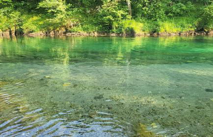 La Casa de la Vega - Foto 43