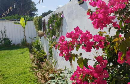 Casa Pelicano - Foto 6