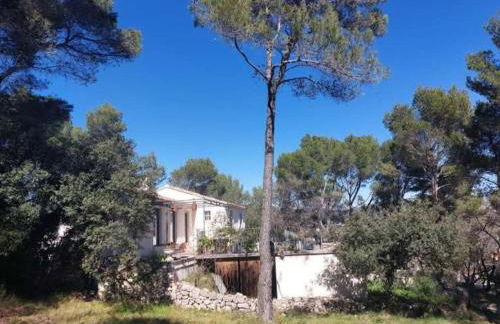 La maison du Barroux avec vue, calme et piscine - Foto 42