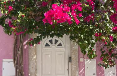 Casa Cor de Rosa - Foto 1