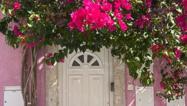 Casa Cor de Rosa - Foto 1