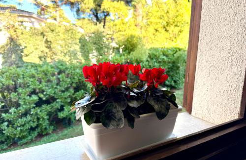 Villa by the Sea and Pool - Foto 68