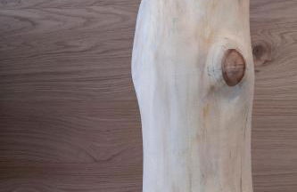 Bellavista - Lake - Foto 16