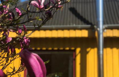 Gelbes Haus bei Mardorf am Steinhuder Meer - Foto 18