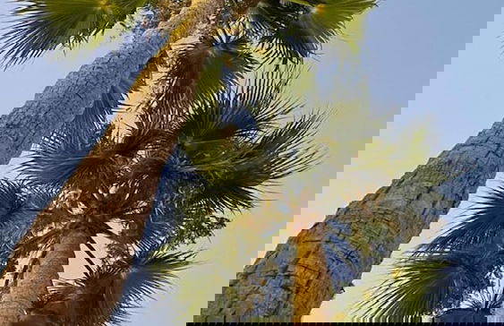 Marrakesh 6-bed Housing Authentic Berber - Foto 36