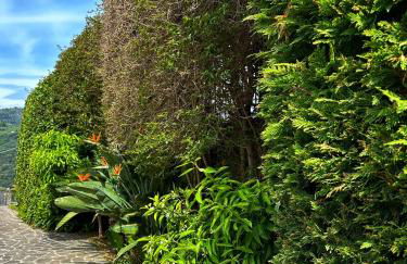 Pink House - Photo 14