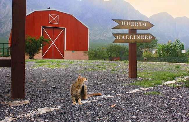 Excursion au centre écologique Xenpal - Photo 2