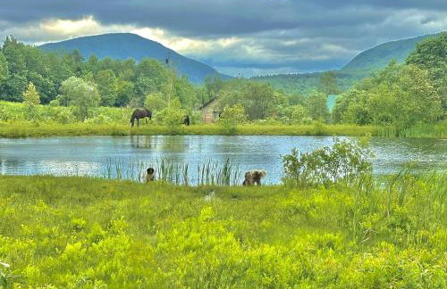 Cozy Off-Grid Cabin with Breathtaking Serene Views for a Peaceful Getaway Surrounded by Nature in Barton, Vermont - Foto 18
