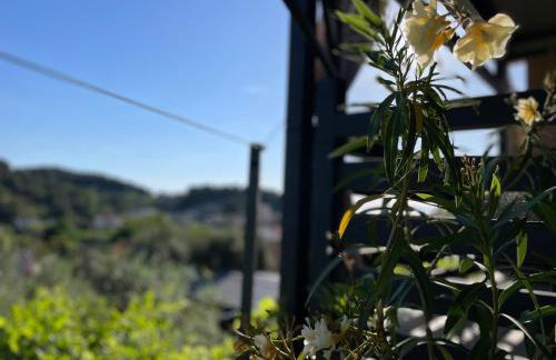 Apartments Leko - Foto 63