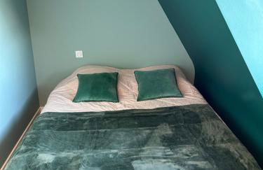 Perle des Abers Plage de Béniguet - Foto 8