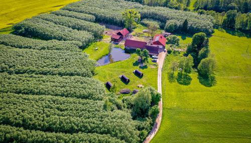 Agroturystyka Dzikie Stawy-Mazury - Foto 2
