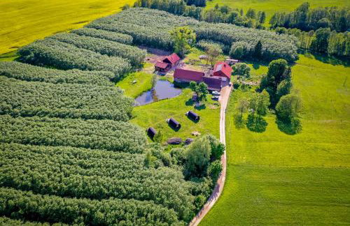 Agroturystyka Dzikie Stawy-Mazury - Foto 2