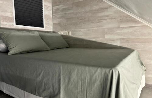 Biznaga Nevada - Foto 18